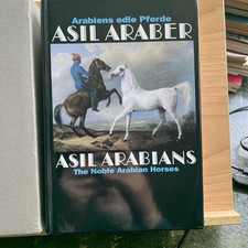 ASIL ARABIANS - The Noble