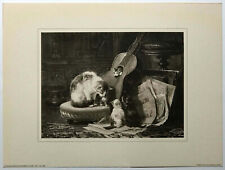 Cat Family Playing Musicians , By Henriette Ronner 1821 -1909 reproduction print