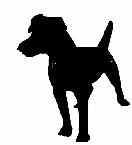 Patterdale terrier vinyl - patterdale,
