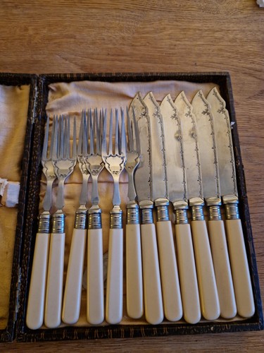 Vintage boxed fish - boxed,