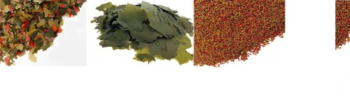 Cichlid power pack malawi - power,