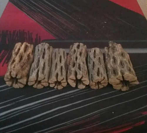 Thick pieces cholla - 6,