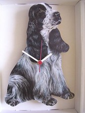 Blue Roan English Cocker