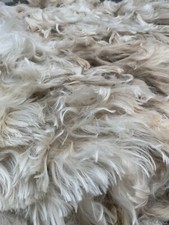 NEW Suri Alpaca Fleece for
