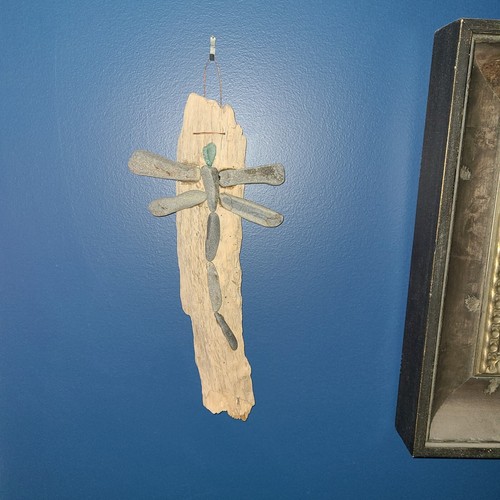 Beach rock dragonfly - beach, drift