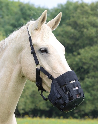 Shires comfort grazing muzzle - shires,