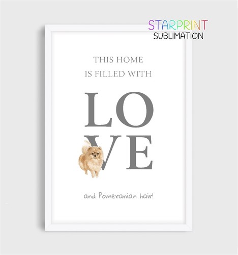 Pomeranian this home - pomeranian, "this