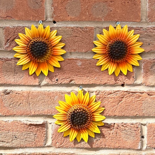 Small sunflower garden - x,