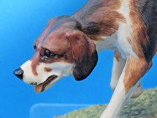 Border Fine Arts FOXHOUND