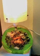 VINTAGE RESIN LUCITE SEALIFE CRAB SHELL AQUARIUM LAMP 1960'S 70'S