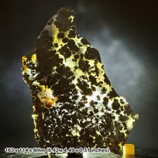 Grade A Opalised Marcasite