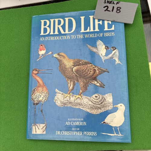 Bird life introduction - an, to