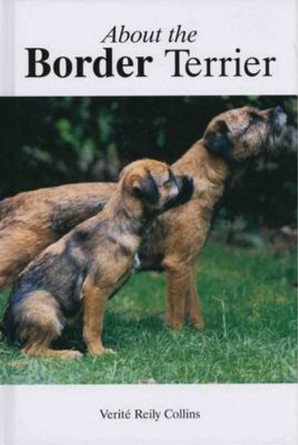 About the border terrier - the,