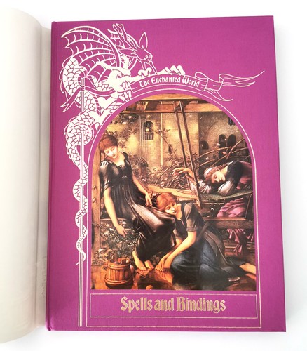 The enchanted world spells - the,