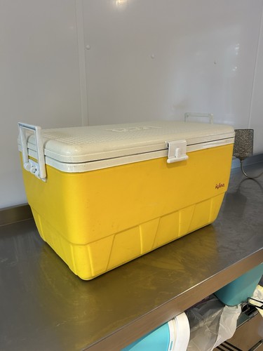 Igloo cool box - cool,