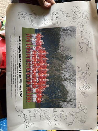 Wales rugby union - wales,