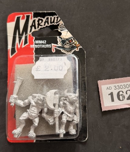 Warhammer marauder miniatures - marauder,