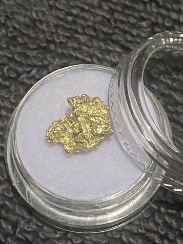 63g raw gold alaskan nuggets - 1.63g,