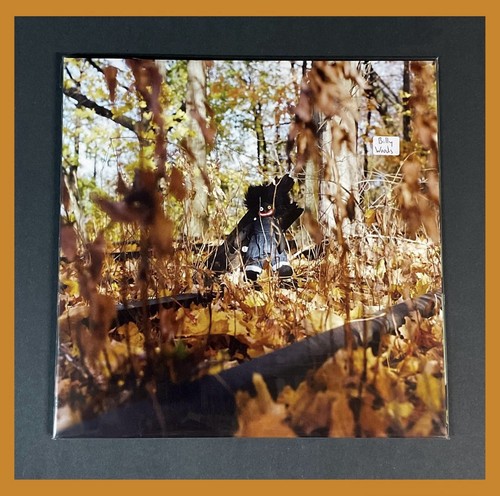 Billy woods golliwog 2xlp - woods,