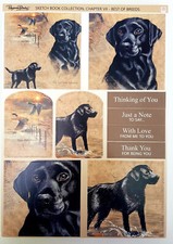 Pollyanna Pickering Sketch