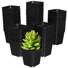  50 Pcs Plants Pots Gardening
