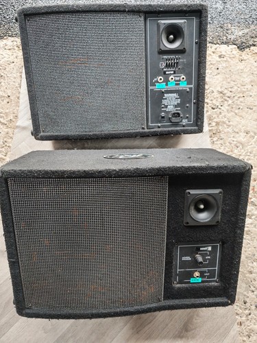 Peavey pro floor - floor, monitor