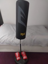 Everlast Punching Bag  Free