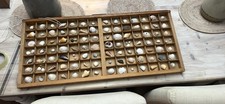 VIntage Wooden Printer/Letter Tray with Collectors Shells - Very Old