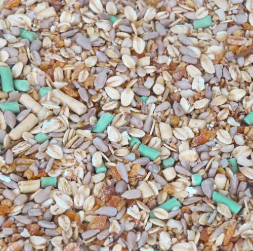 Premium wild garden bird - premium,