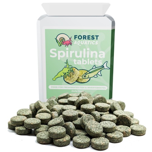 Spirulina tropical fish - tropical, food