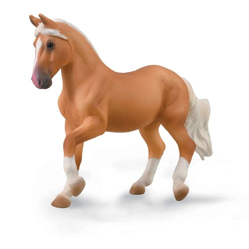 Collecta paso fino mare - mare,