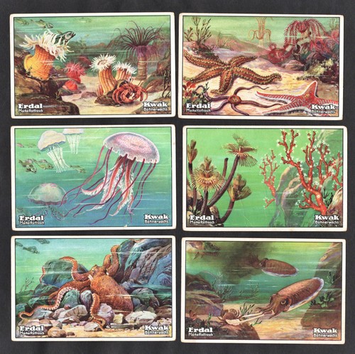 Marine life erdal ser card - marine,