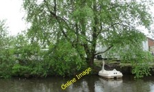 Photo 6x4 A swan on the