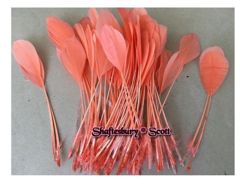 Long feathers for - x,