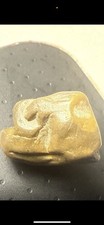 Prehistoric Animal Carving