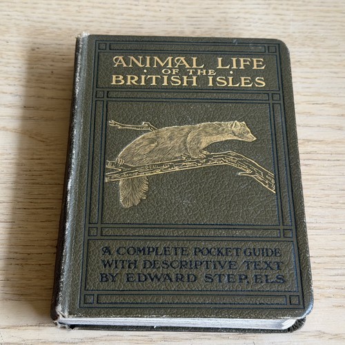 Edward step animal life - edward,