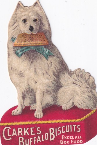 Clarkes buffalo dog - clarkes,