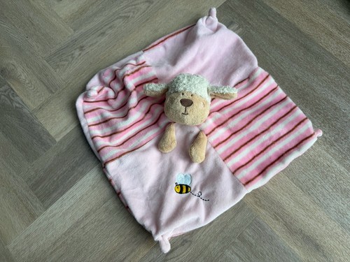 Pink sheep lamb - sheep, baby
