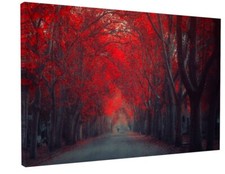 WOODLAND RED TREE CANVAS
