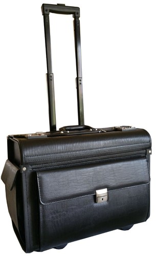 Pilot case flight - pilot, doctors