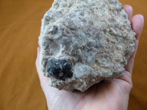 Black obsidian - black,