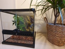 exo terra 30 x 30 x 30