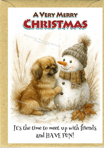 Tibetan spaniel dog x - a6, (4"