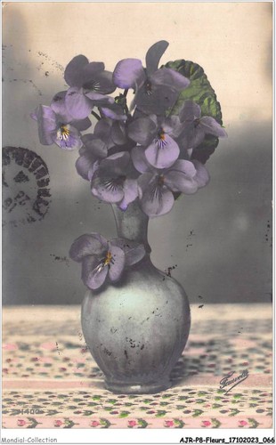 Ajrp8 0817 flowers - ajrp8-0817,