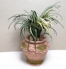 Dolls House Miniature  Large PLANT IN AGED TERRACOTTA PLANTER
