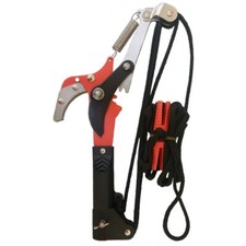 Barnel Branch Tree Cutter