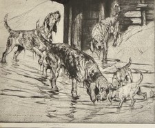 Otter Hounds - A signed