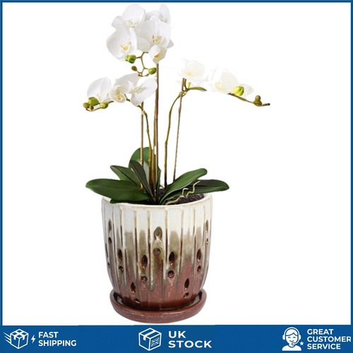 Elegant cutout ceramic orchid - cutout,