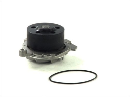 Thermotec d1d019tt water - water, pump