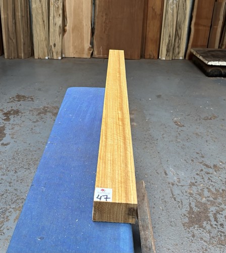 Korina limba bass guitar - /,